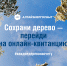 Более 107 000 клиентов «Алтайэнергосбыт» отказались от бумажных квитанций - Чемальский район